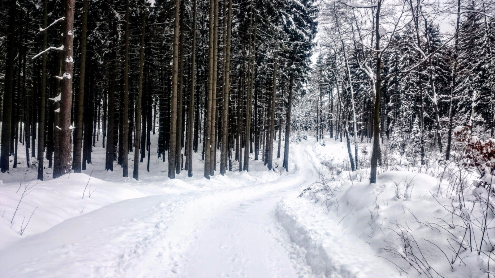 Upraven cesta z Kohoutova na svnici