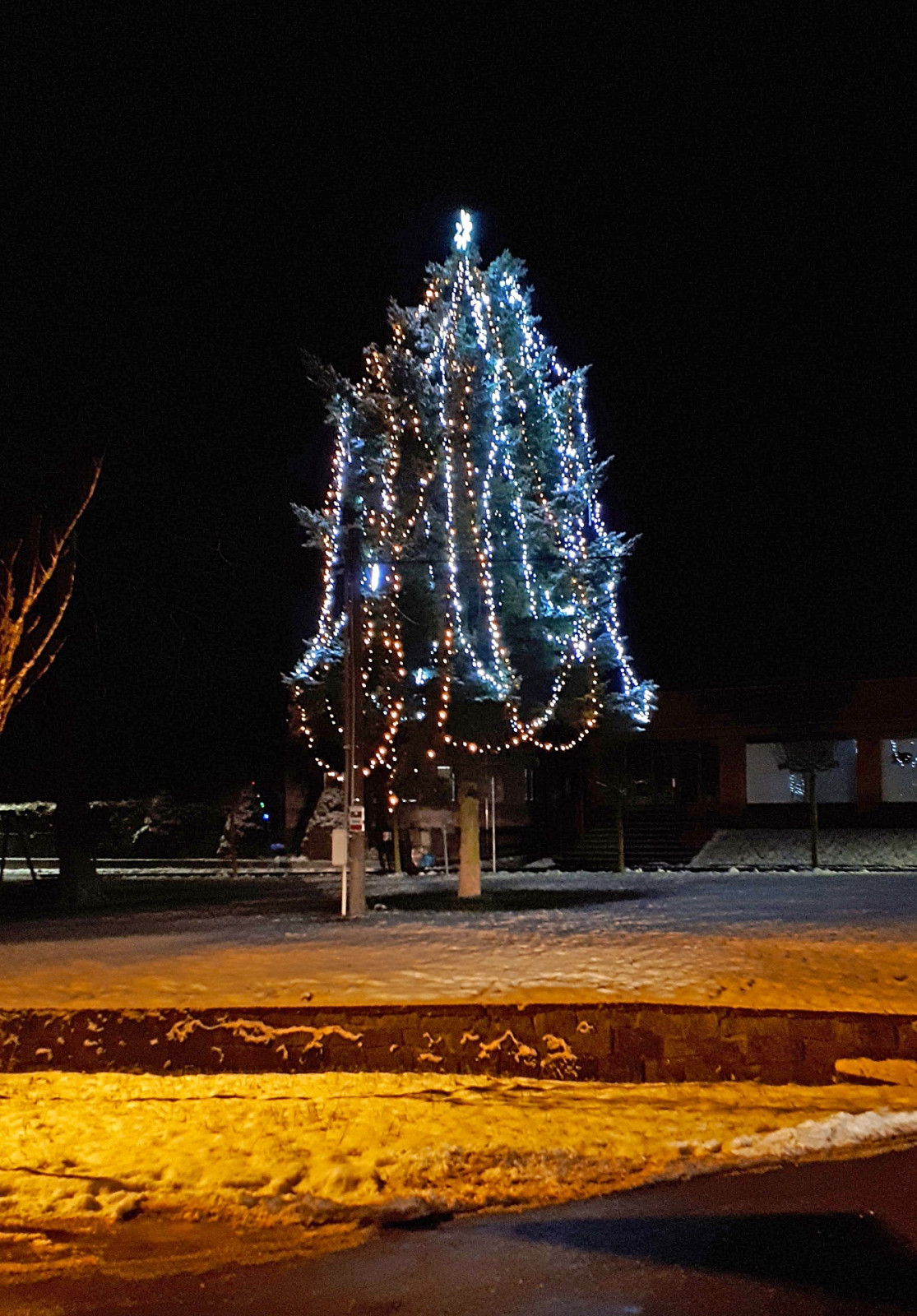 Choustníkovo Hradiště 2017